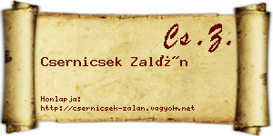 Csernicsek Zalán névjegykártya